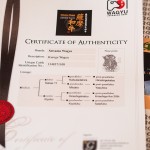 Aitoustodistukset