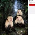 Family Portrait was chosen as “Best Of” in Photo Vogue